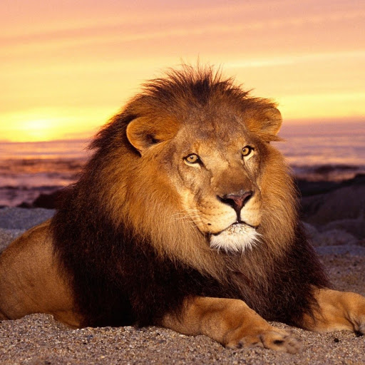 Hd-174894-ascw174894