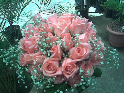 rosa4.jpg