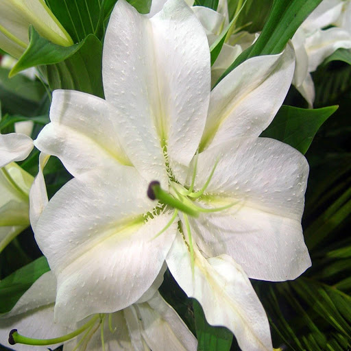 Hd-174396-ascw174396