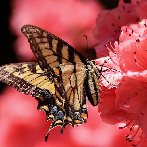 Hd-180638-ascw180638