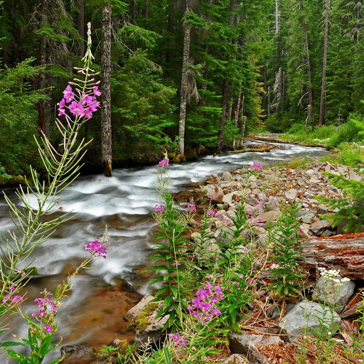 Hd-153550-ascw153550