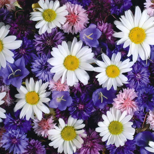 Hd-144253-ascw144253