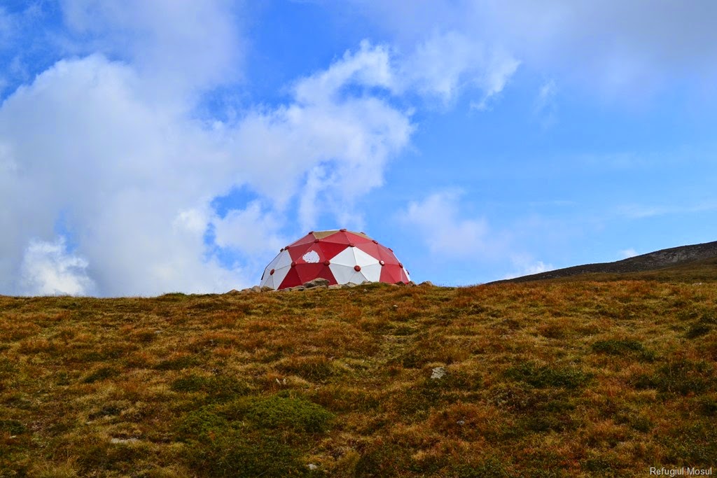 [DSC_90113.jpg]