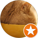 Image Google de ed