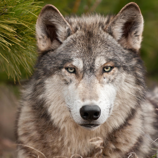 Hd-173388-ascw173388