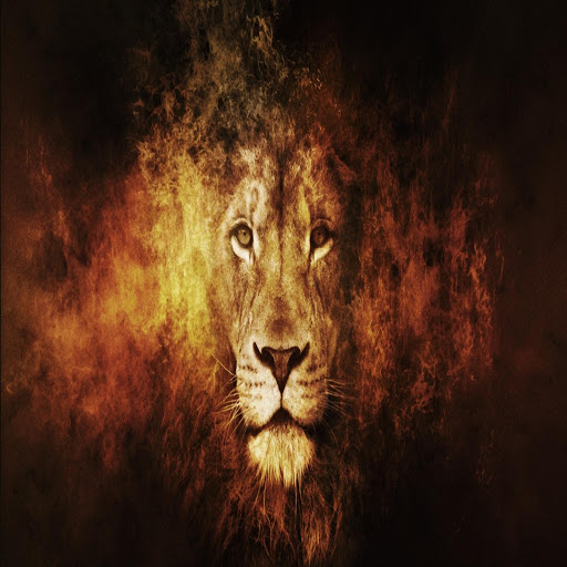 Hd-162937-ascw162937