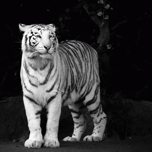 Hd-178309-ascw178309