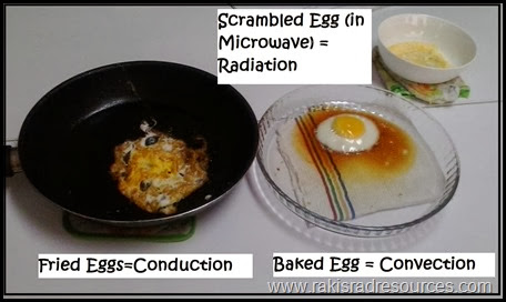 Using eggs to cook science - conduction, convection, radiation, etc. - from Raki's Rad Resources.