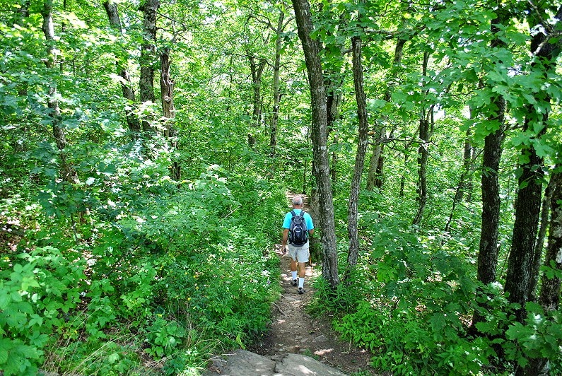 [08i--Hiking-Down---Through-the-woods.jpg]