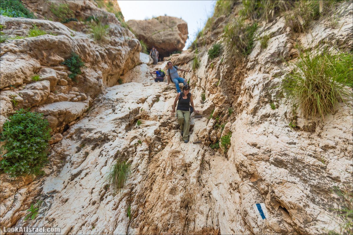 LookAtIsrael.com - Ручей (нахаль) Талкид | Nahal Talkid | נחל תלקיד