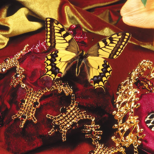 Hd-180405-ascw180405