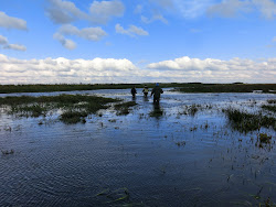 Skjern Au _ Oktober 2012 - 038