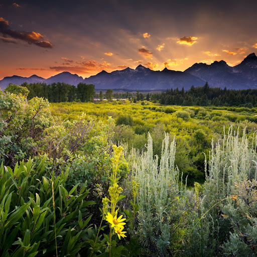 Hd-153577-ascw153577