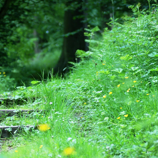 Hd-151044-ascw151044