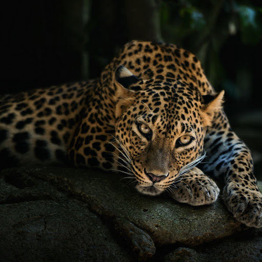 Hd-137132-ascw137132