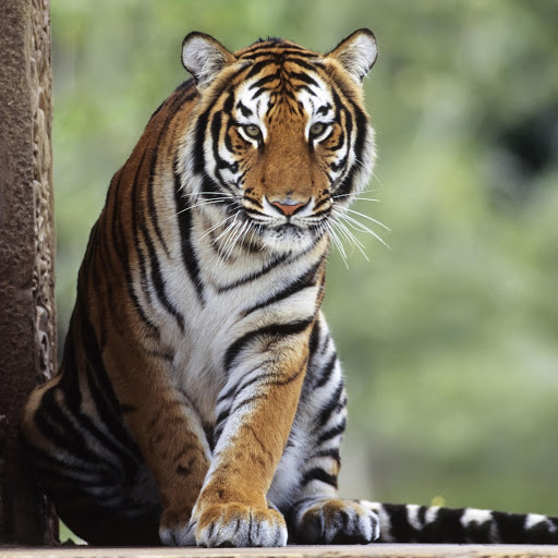 Hd-178245-ascw178245