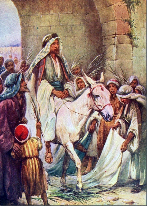 Donkey And Colt Jesus Rode _ Why Did Jesus Ride a Donkey and Why Is ...