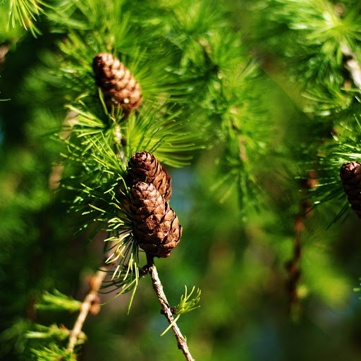 Hd-143391-ascw143391