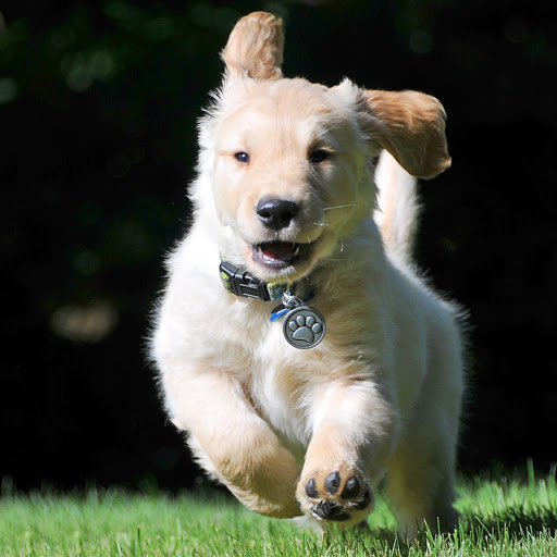 Hd-132517-ascw132517