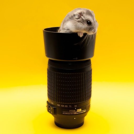 Hd-178100-ascw178100