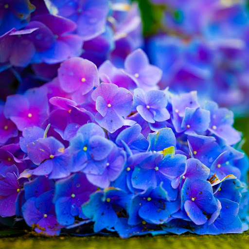 Hd-175081-ascw175081