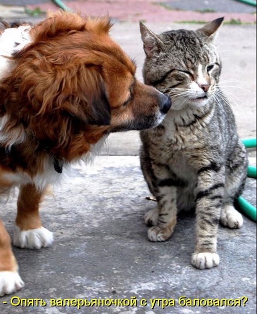 [kotomatrix_00110%255B3%255D.jpg]