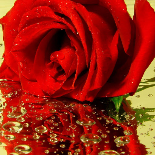 Hd-152614-ascw152614