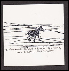 zebra 001