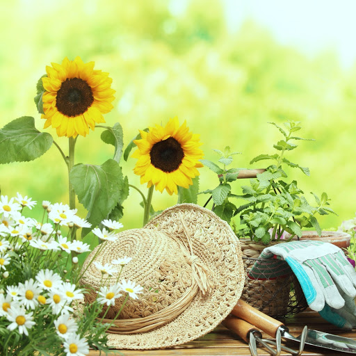 Hd-158771-ascw158771