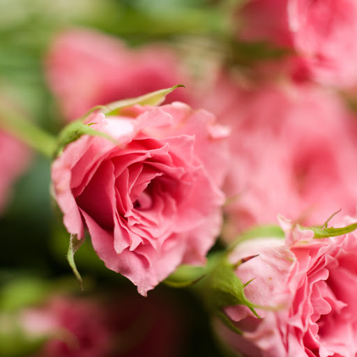 Hd-156721-ascw156721