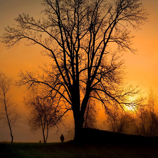 Hd-131015-ascw131015