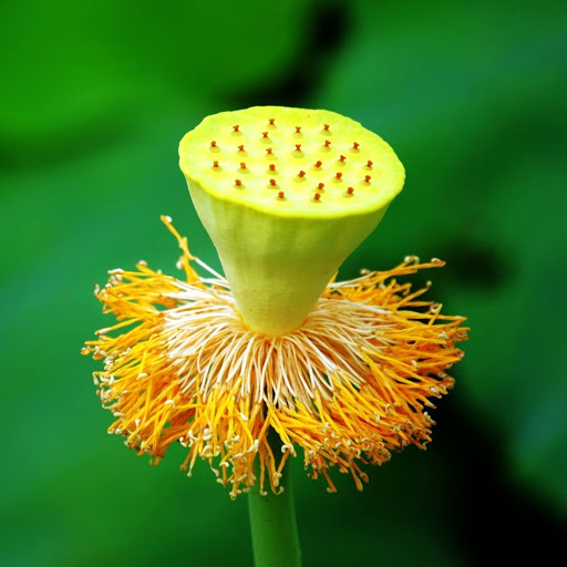 Hd-175731-ascw175731