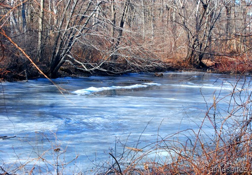 16. frozen pond-kab