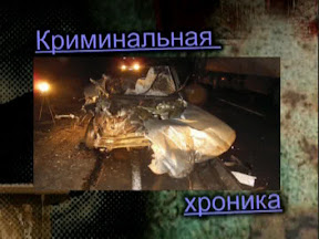 Полицейская хроника  с 02 по 09 ноября 2015 г.