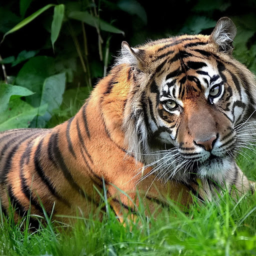 Hd-145566-ascw145566