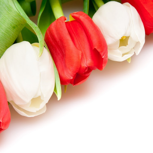 Hd-133150-ascw133150