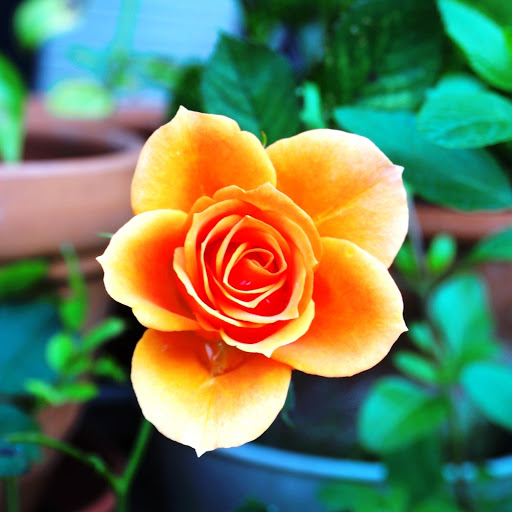 Hd-179814-ascw179814