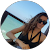 Andreea Cm Andreea Cm