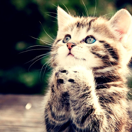 Hd-161116-ascw161116