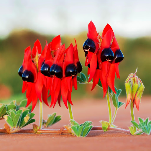 Hd-152713-ascw152713