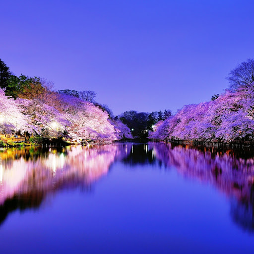 Hd-142234-ascw142234