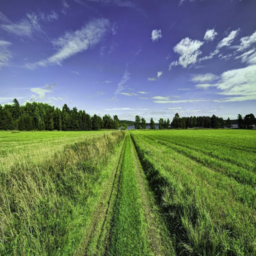 Hd-160466-ascw160466