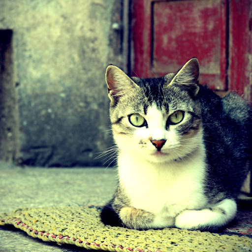 Hd-145730-ascw145730