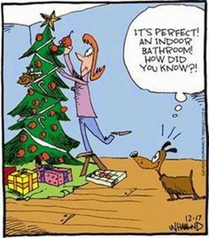 Image result for funny christmas cartoons