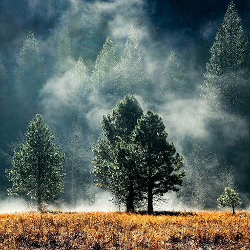 Hd-177985-ascw177985