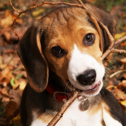 Hd-167110-ascw167110