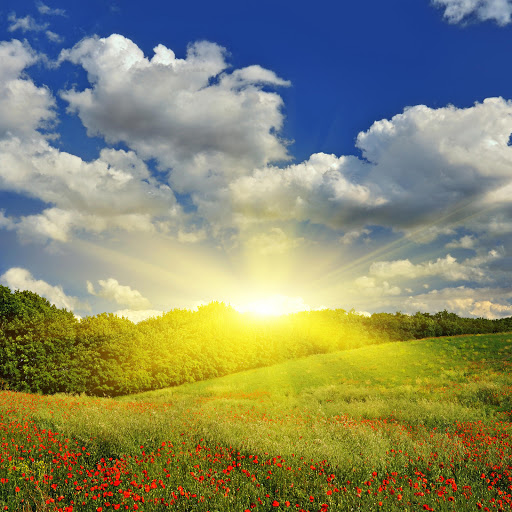 Hd-185344-ascw185344