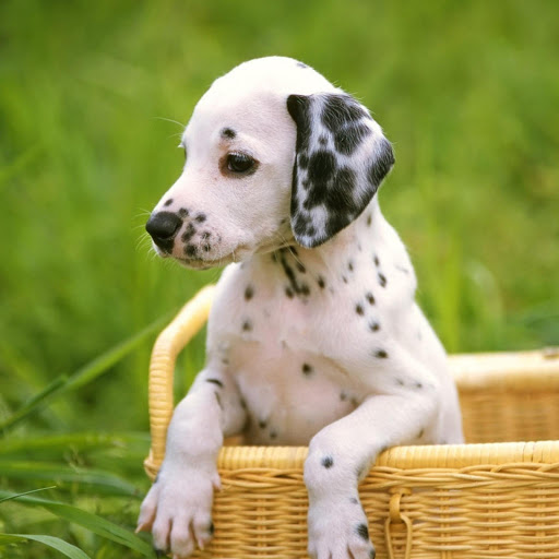 Hd-173755-ascw173755