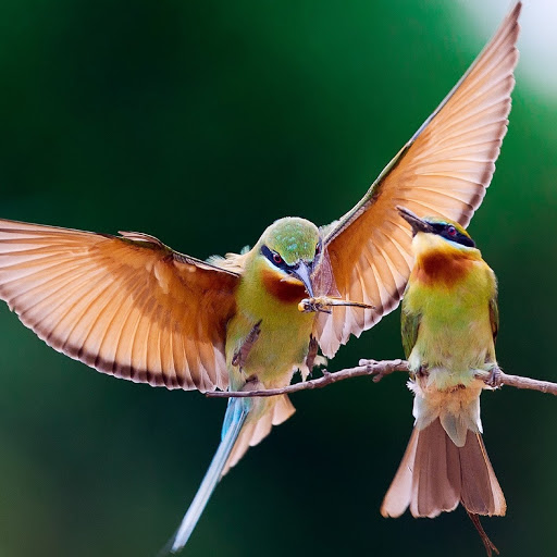 Hd-180618-ascw180618