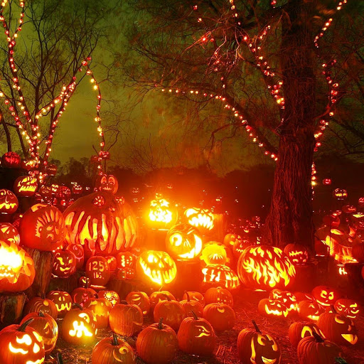 Hd-152035-ascw152035